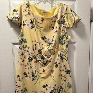 A Brand New Calvin Klein